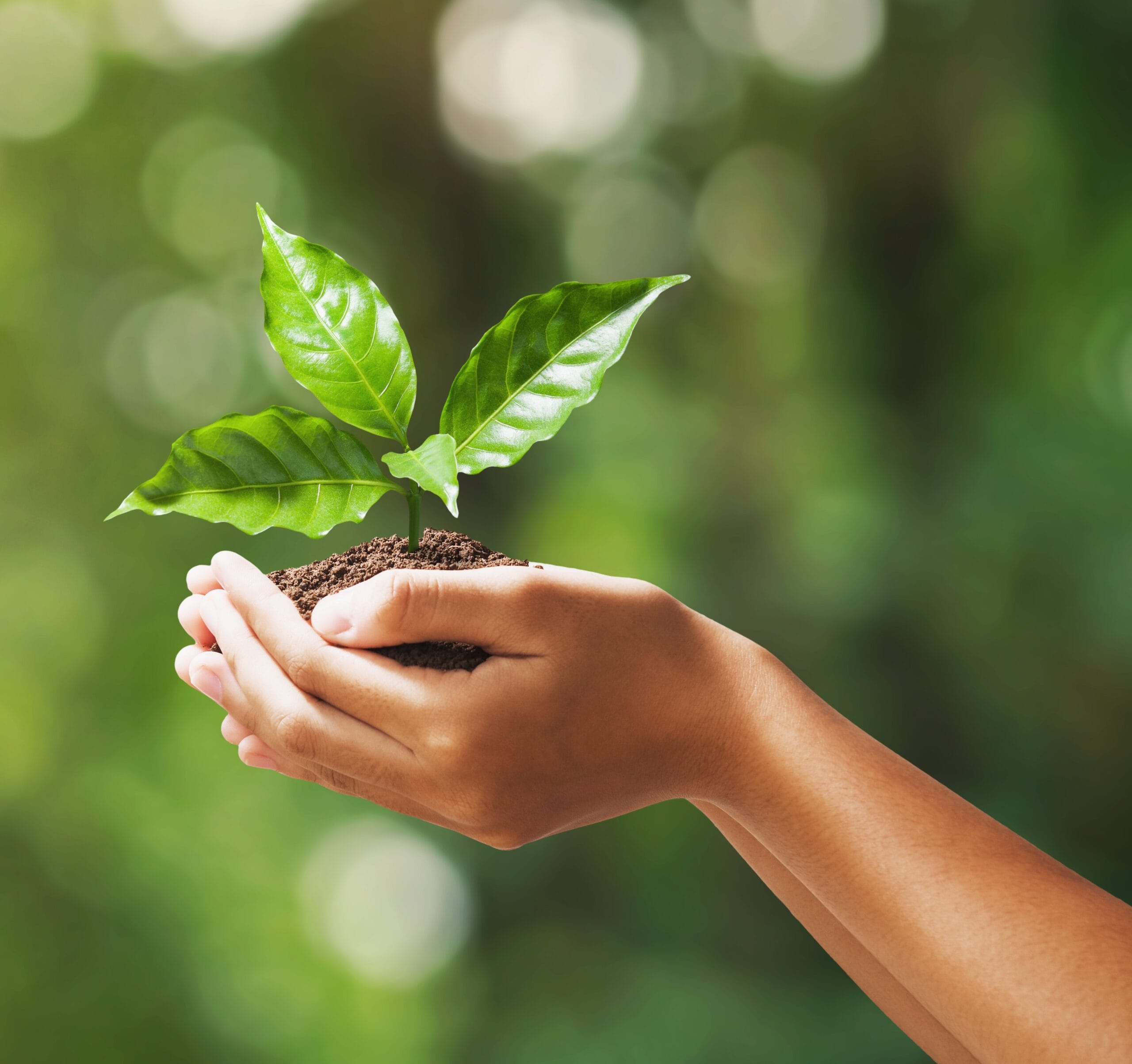 Pic 20 shutterstock 1443475445 CROPPED scaled Environment, Social & Governance (ESG)